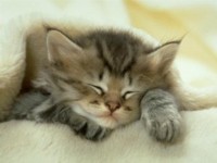 i look just as cute when sleeping...really, i do!